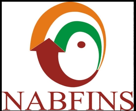 NABFINS Ltd Job Vacancy For Branch Head, ABM, Filed Staff | MFI Jobs 2023 | Various Locations Recruitment 