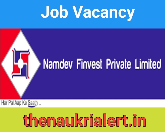 Namdev Finvest Job 2024 For Credit Managers | Finance Job Vacancy Recruitment 